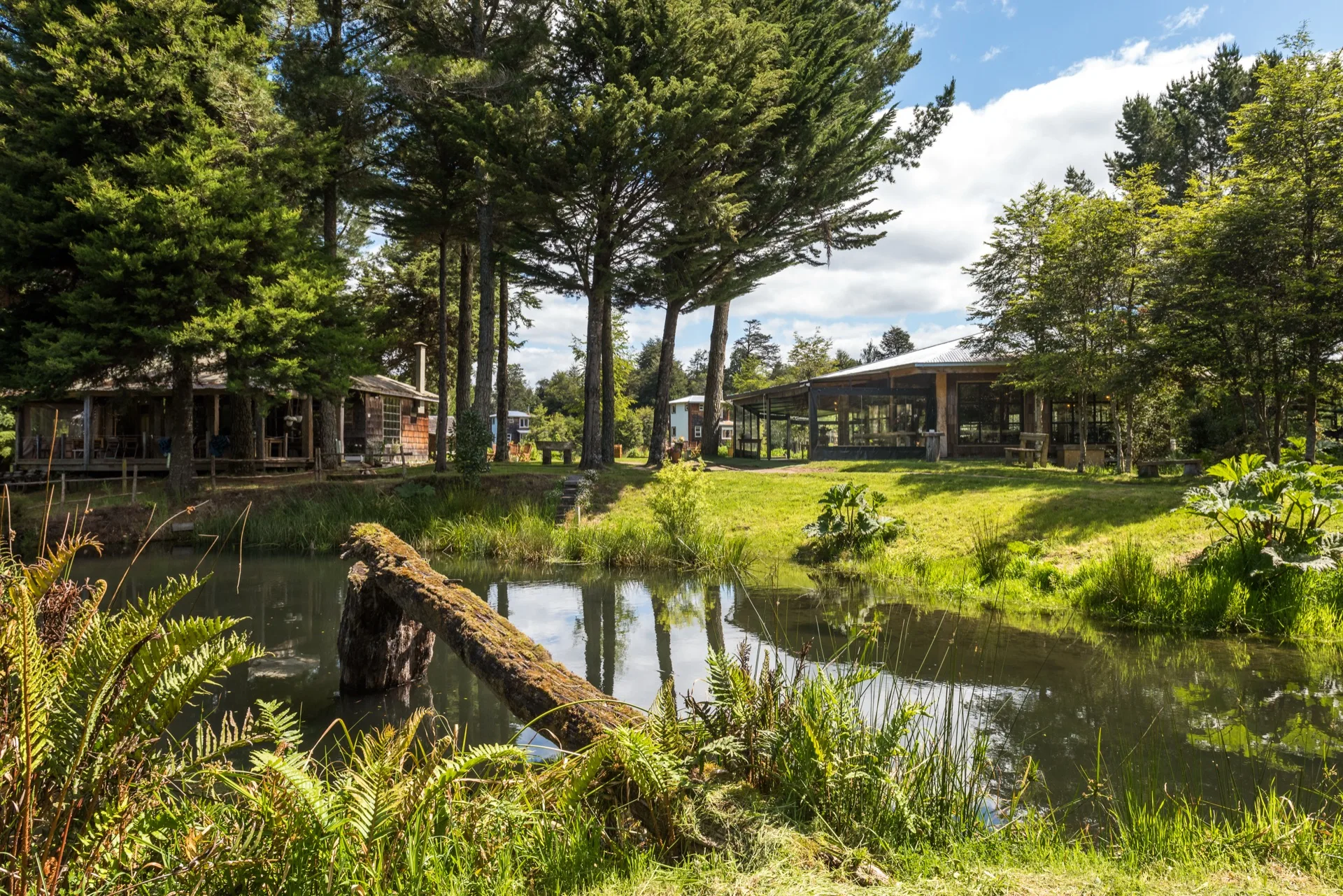 Laguna con nenúfares del Fundo Santa Inés de La Vega